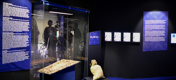 Sight in the exhibition