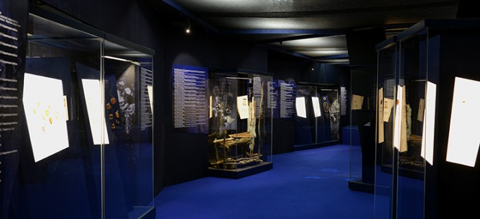 Sight in the exhibition