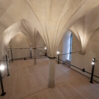 “The Praise of Folly”. Concert