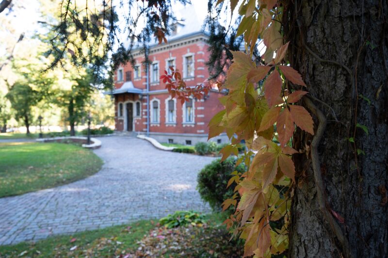 Oda rudenim: izzinoša pastaiga Dauderos