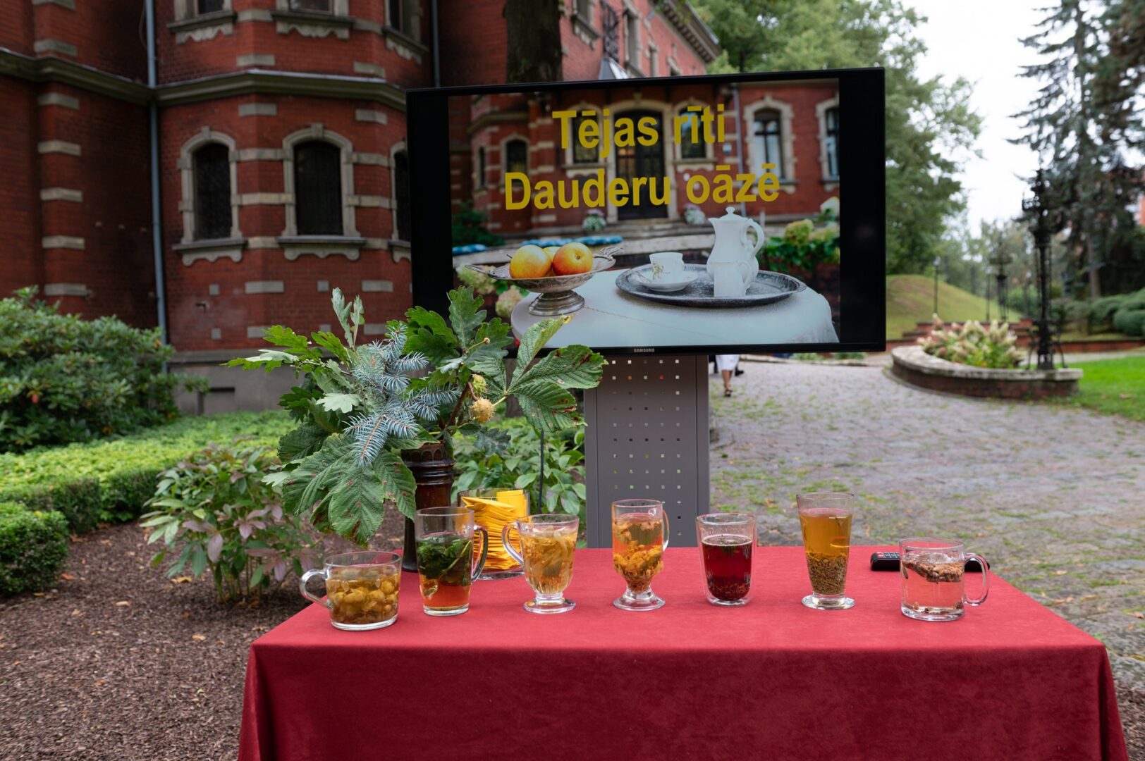 Skats Dauderu dārzā.