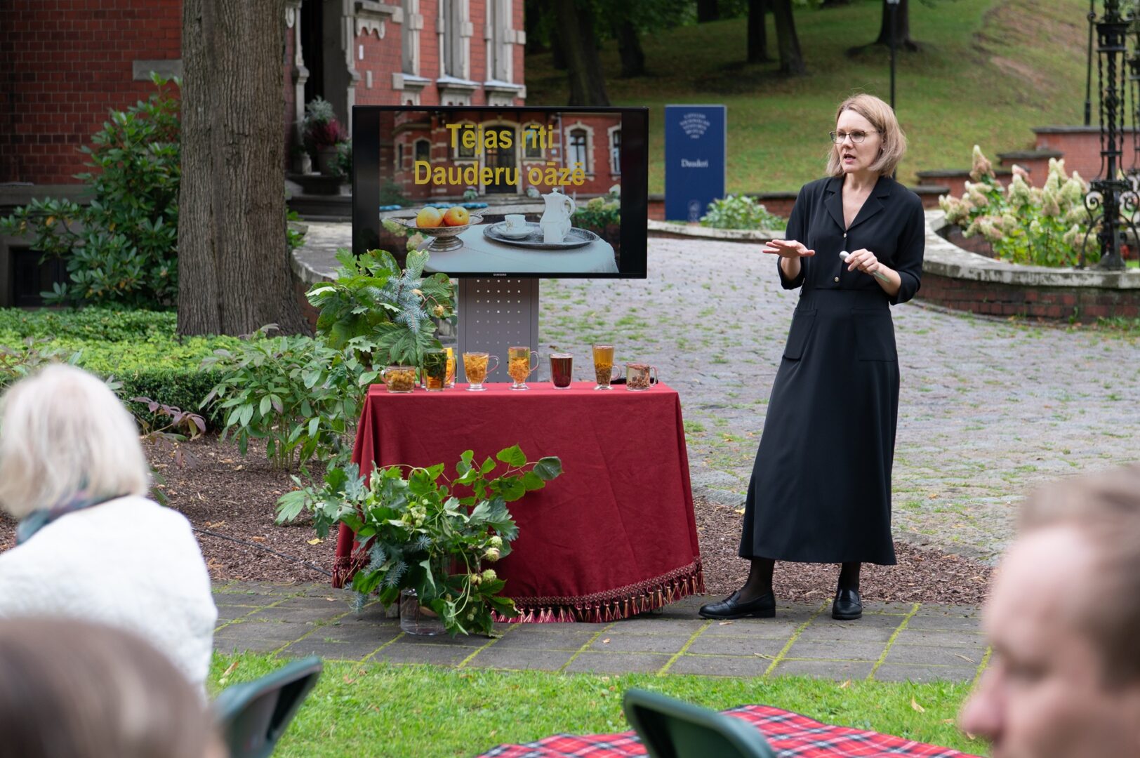 Skats Dauderu dārzā.