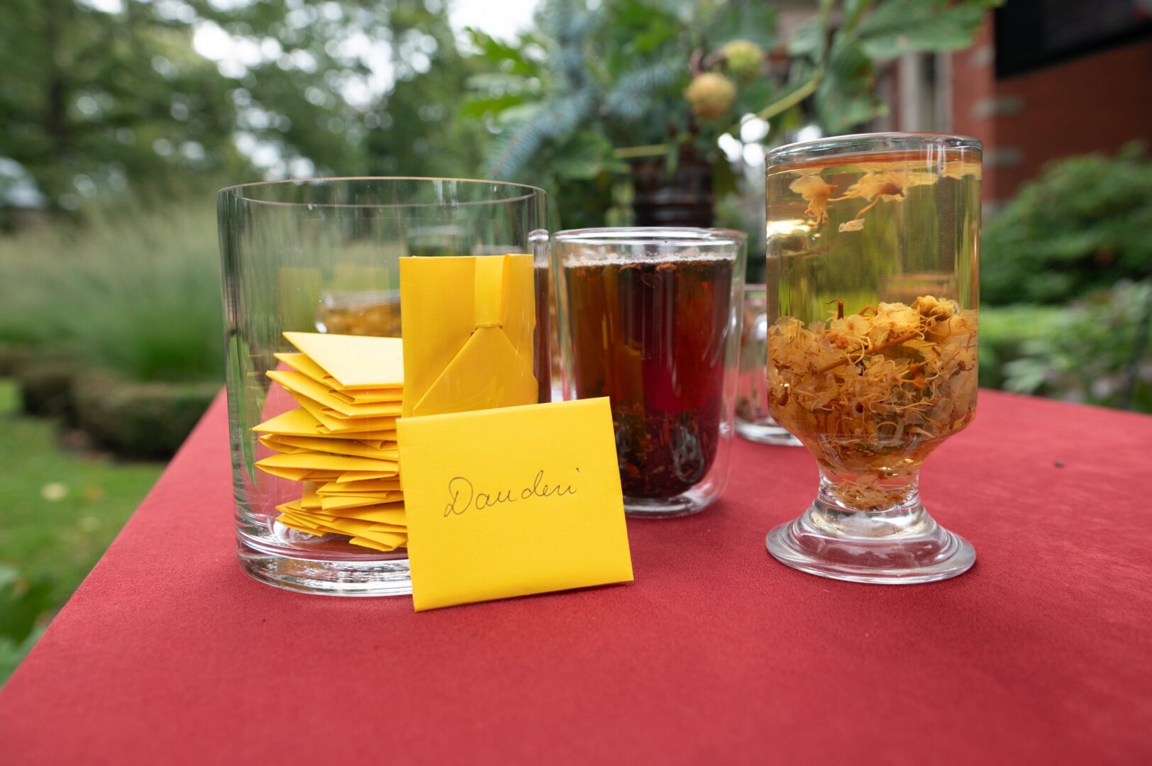 Skats Dauderu dārzā.